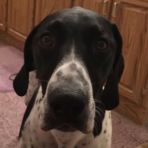 Meet your Posher, Austin